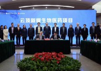 136个签约项目、超千亿元总投资嘉善美丽城镇产业招商形成磁场效应