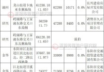 全省四宗地块均由地方平台底价竞得